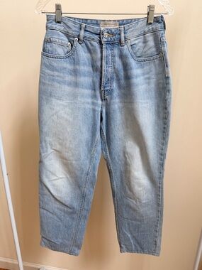 Everlane Curvy '90s cheeky straight jeans organic cotton light-wash Sz 28 crop